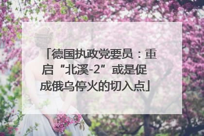 德国执政党要员：重启“北溪-2”或是促成俄乌停火的切入点