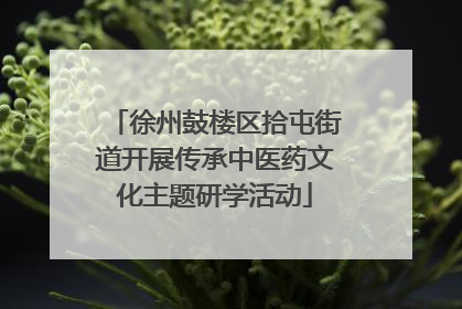 徐州鼓楼区拾屯街道开展传承中医药文化主题研学活动