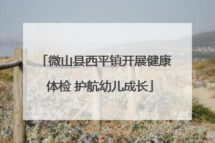 微山县西平镇开展健康体检 护航幼儿成长
