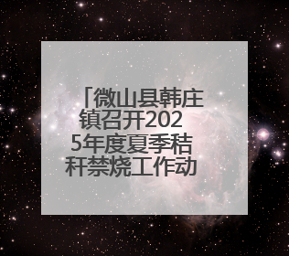 微山县韩庄镇召开2025年度夏季秸秆禁烧工作动员部署会议