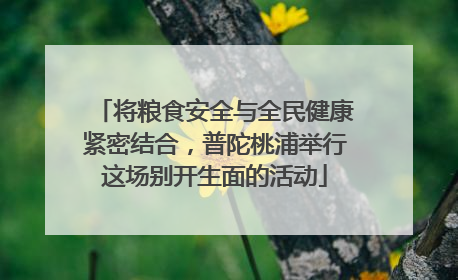 将粮食安全与全民健康紧密结合，普陀桃浦举行这场别开生面的活动
