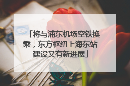 将与浦东机场空铁换乘，东方枢纽上海东站建设又有新进展
