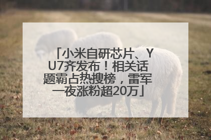 小米自研芯片、YU7齐发布！相关话题霸占热搜榜，雷军一夜涨粉超20万