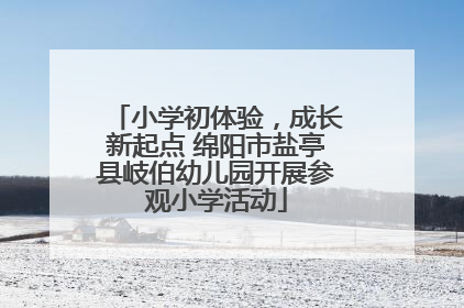 小学初体验，成长新起点 绵阳市盐亭县岐伯幼儿园开展参观小学活动