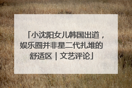 小沈阳女儿韩国出道，娱乐圈并非星二代扎堆的舒适区｜文艺评论