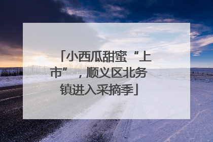 小西瓜甜蜜“上市”，顺义区北务镇进入采摘季