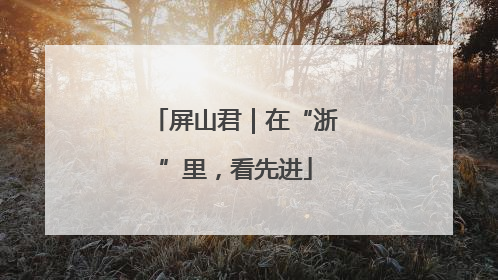 屏山君｜在“浙”里，看先进