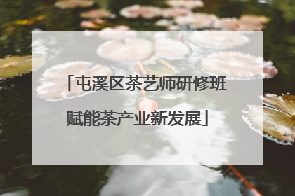 屯溪区茶艺师研修班赋能茶产业新发展