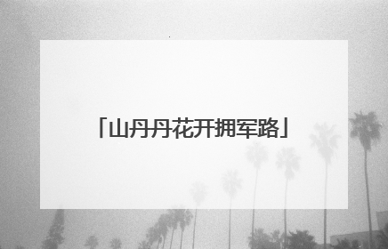 山丹丹花开拥军路