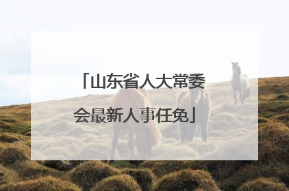 山东省人大常委会最新人事任免