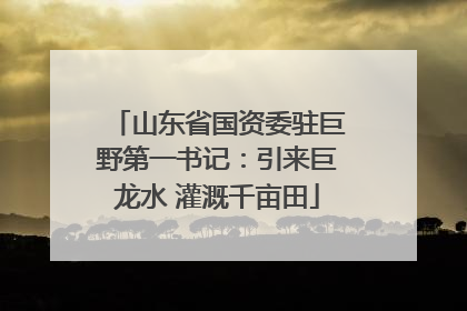 山东省国资委驻巨野第一书记：引来巨龙水 灌溉千亩田