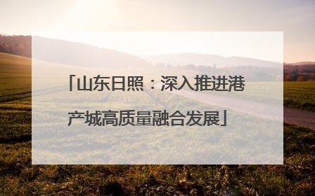 山东日照：深入推进港产城高质量融合发展