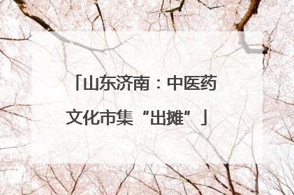 山东济南：中医药文化市集“出摊”