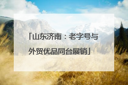山东济南：老字号与外贸优品同台展销