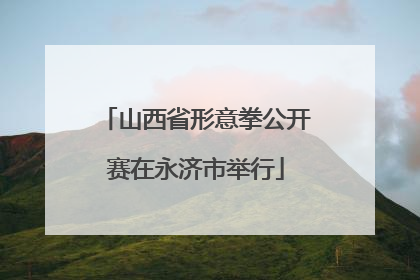 山西省形意拳公开赛在永济市举行
