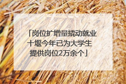 岗位扩增量撬动就业 十堰今年已为大学生提供岗位2万余个