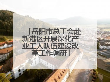 岳阳市总工会赴新港区开展深化产业工人队伍建设改革工作调研
