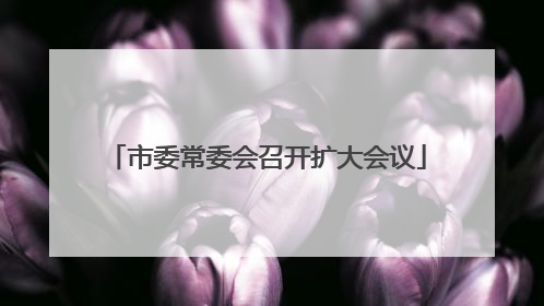市委常委会召开扩大会议