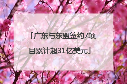 广东与东盟签约7项目累计超31亿美元