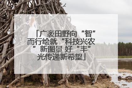 广袤田野向“智”而行绘就“科技兴农”新图景 好“丰”光传递新希望