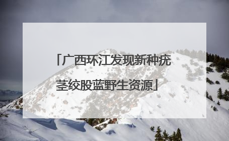 广西环江发现新种疣茎绞股蓝野生资源