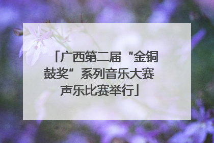广西第二届“金铜鼓奖”系列音乐大赛声乐比赛举行