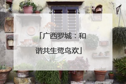 广西罗城：和谐共生鹭鸟欢
