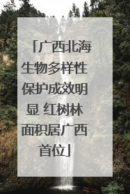 广西北海生物多样性保护成效明显 红树林面积居广西首位