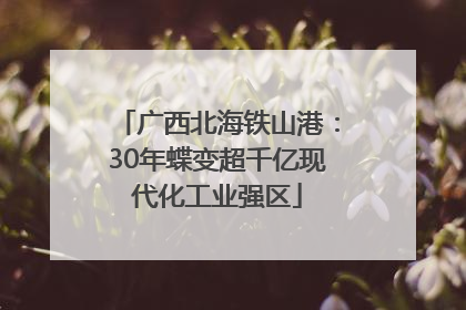 广西北海铁山港：30年蝶变超千亿现代化工业强区
