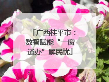 广西桂平市：数智赋能“一窗通办”解民忧
