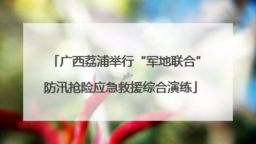 广西荔浦举行“军地联合”防汛抢险应急救援综合演练