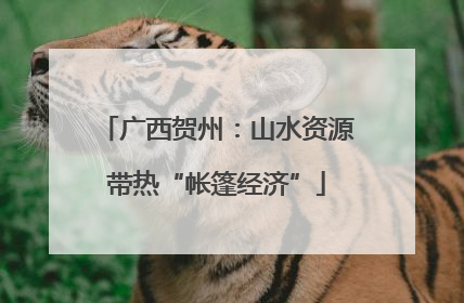 广西贺州：山水资源带热“帐篷经济”