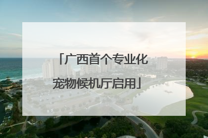 广西首个专业化宠物候机厅启用
