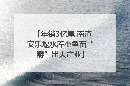 年销3亿尾 南漳安乐堰水库小鱼苗“孵”出大产业