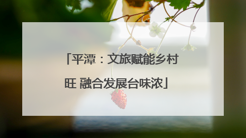 平潭：文旅赋能乡村旺 融合发展台味浓