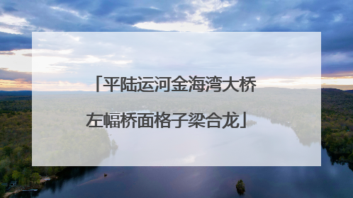 平陆运河金海湾大桥左幅桥面格子梁合龙