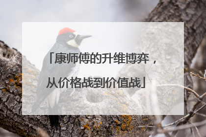 康师傅的升维博弈，从价格战到价值战