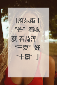 府东街丨“芒”着收获 看菏泽“三夏”好“丰景”