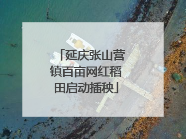 延庆张山营镇百亩网红稻田启动插秧