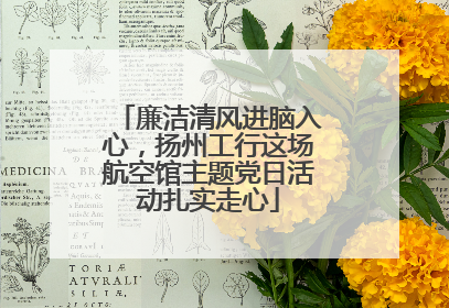 廉洁清风进脑入心，扬州工行这场航空馆主题党日活动扎实走心