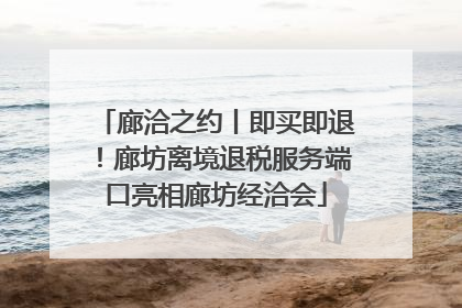 廊洽之约丨即买即退！廊坊离境退税服务端口亮相廊坊经洽会