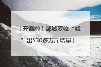 开镰啦！邹城麦收“减”出530多万斤增量