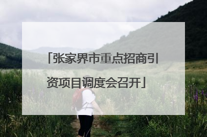 张家界市重点招商引资项目调度会召开