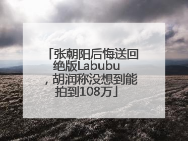 张朝阳后悔送回绝版Labubu，胡润称没想到能拍到108万