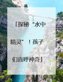 探秘“水中精灵”！孩子们直呼神奇