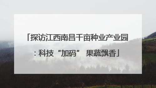 探访江西南昌千亩种业产业园：科技“加码” 果蔬飘香