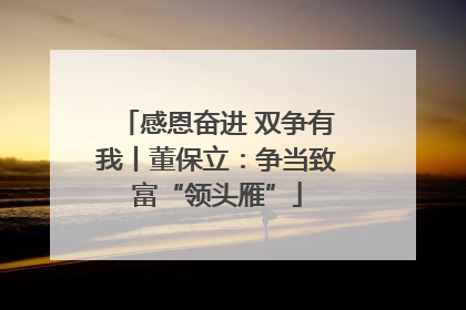 感恩奋进 双争有我丨董保立：争当致富“领头雁”