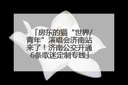 房东的猫“世界/青年”演唱会济南站来了！济南公交开通6条歌迷定制专线