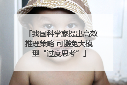 我国科学家提出高效推理策略 可避免大模型“过度思考”