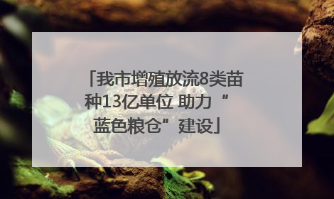 我市增殖放流8类苗种13亿单位 助力“蓝色粮仓”建设
